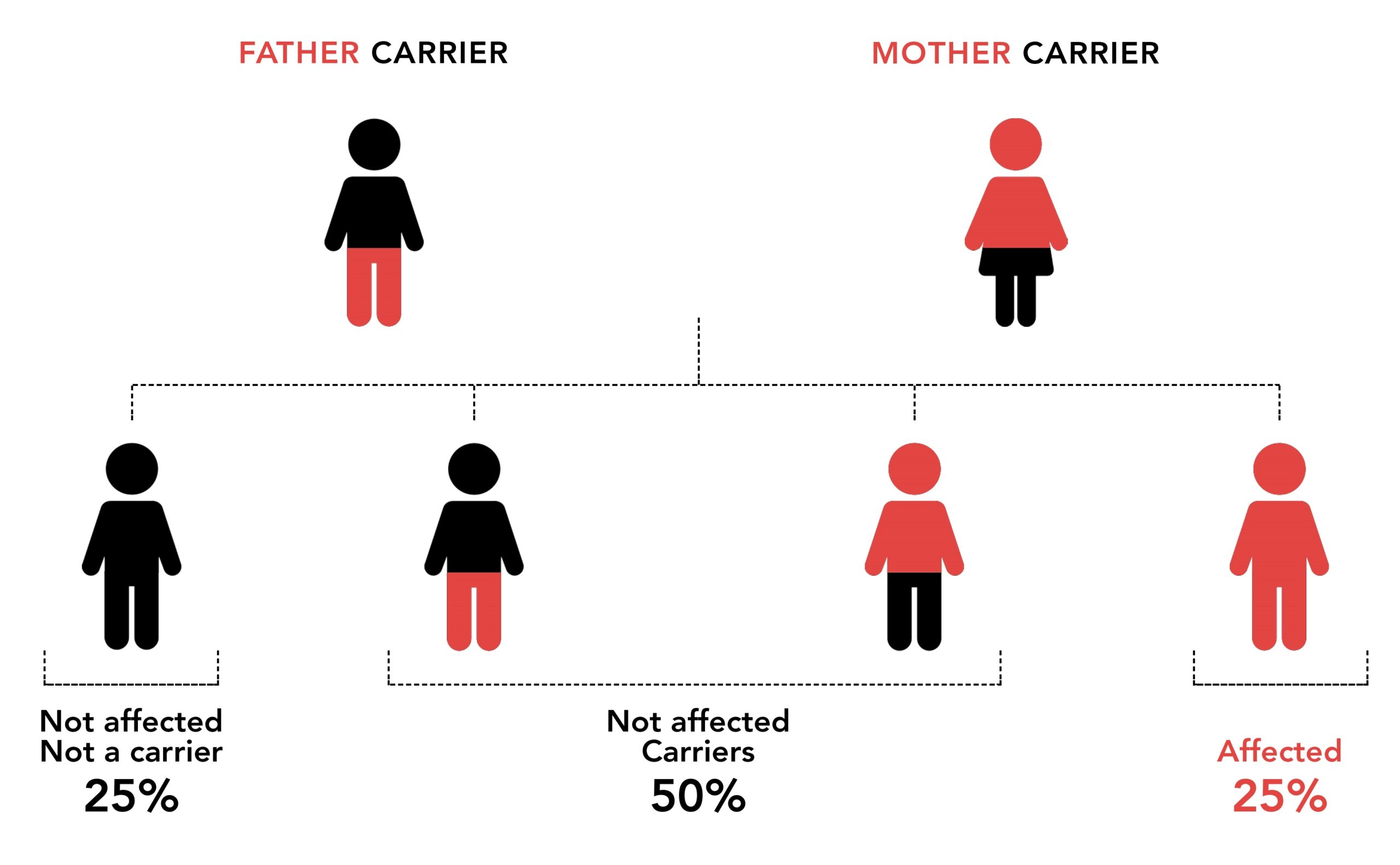 how hereditary diseases pass through generations explained