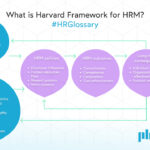 How Human Resource Management Theory Regards a Company's Workforce how human resource management theory regards a companys workforce