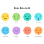 how many emotions are there key examples explained