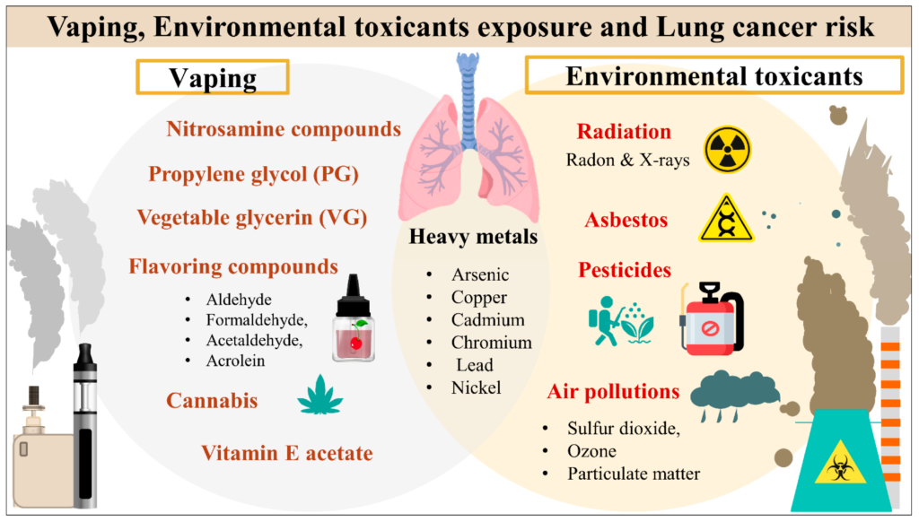 how smoking causes cancer key insights