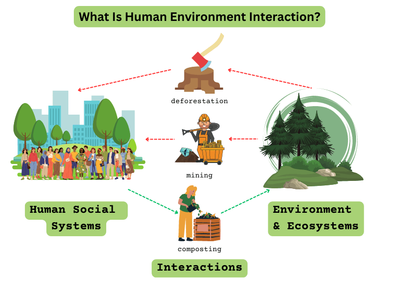 human environment interaction examples explained