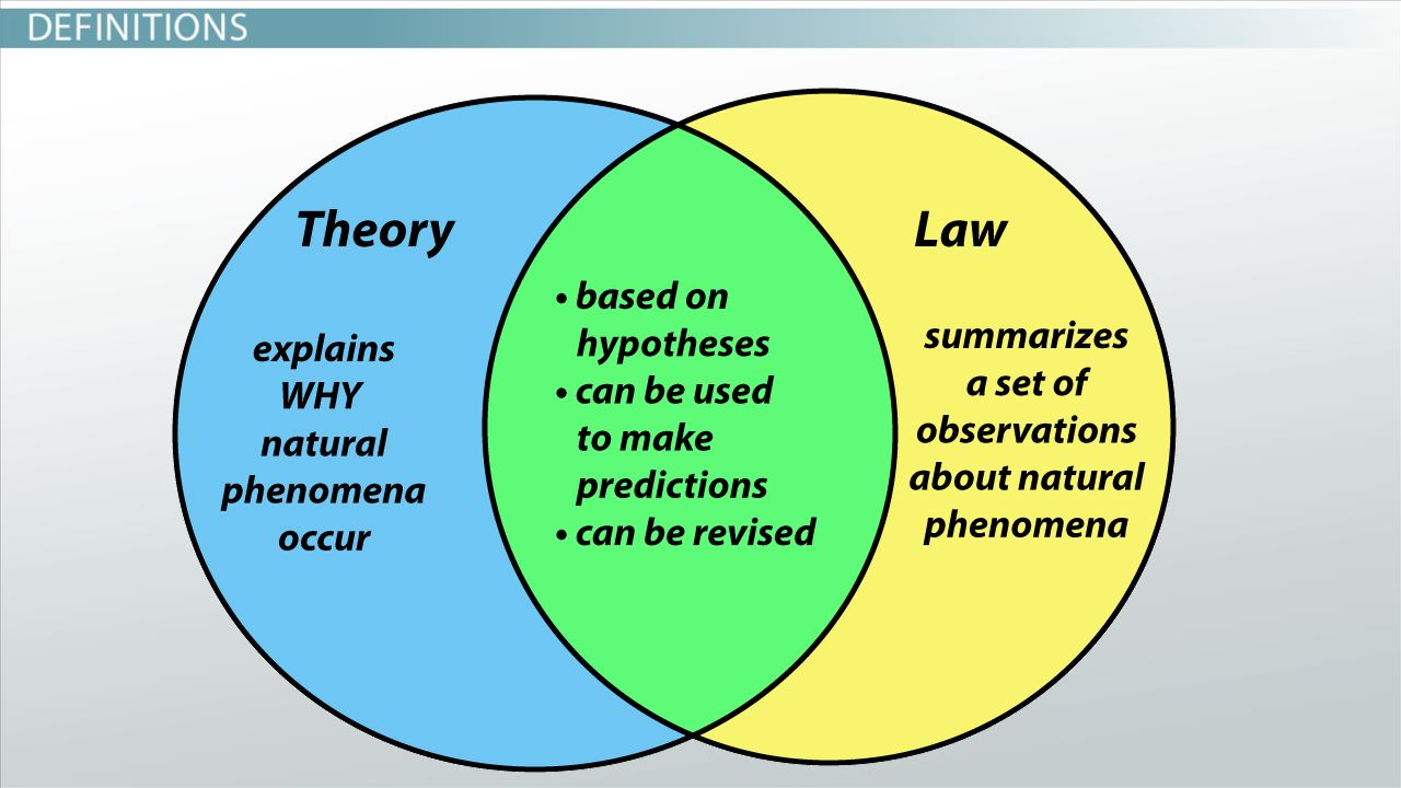 hypothesis vs prediction key examples explained