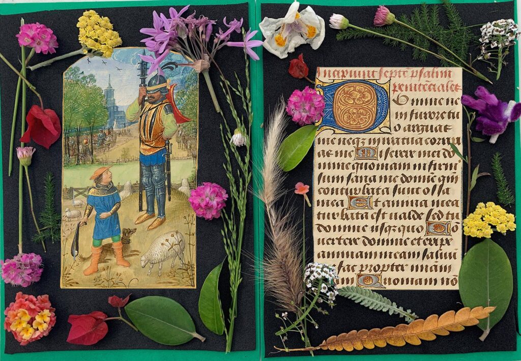 illuminated manuscript examples to explore