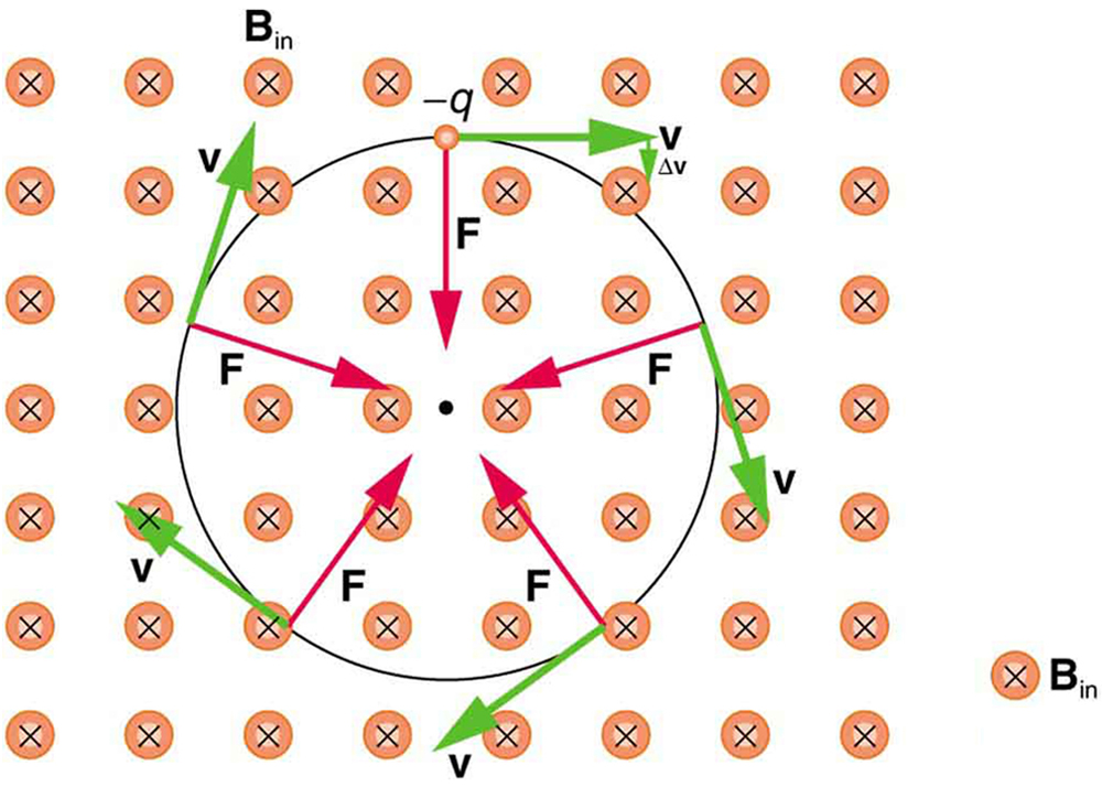 importance of example of v in various fields