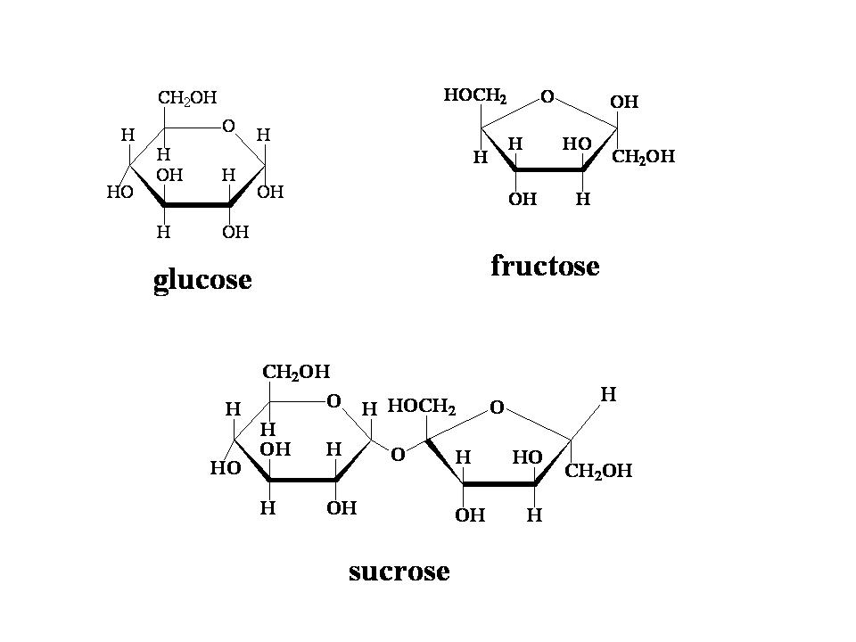 in what way are fructose and glucose the same