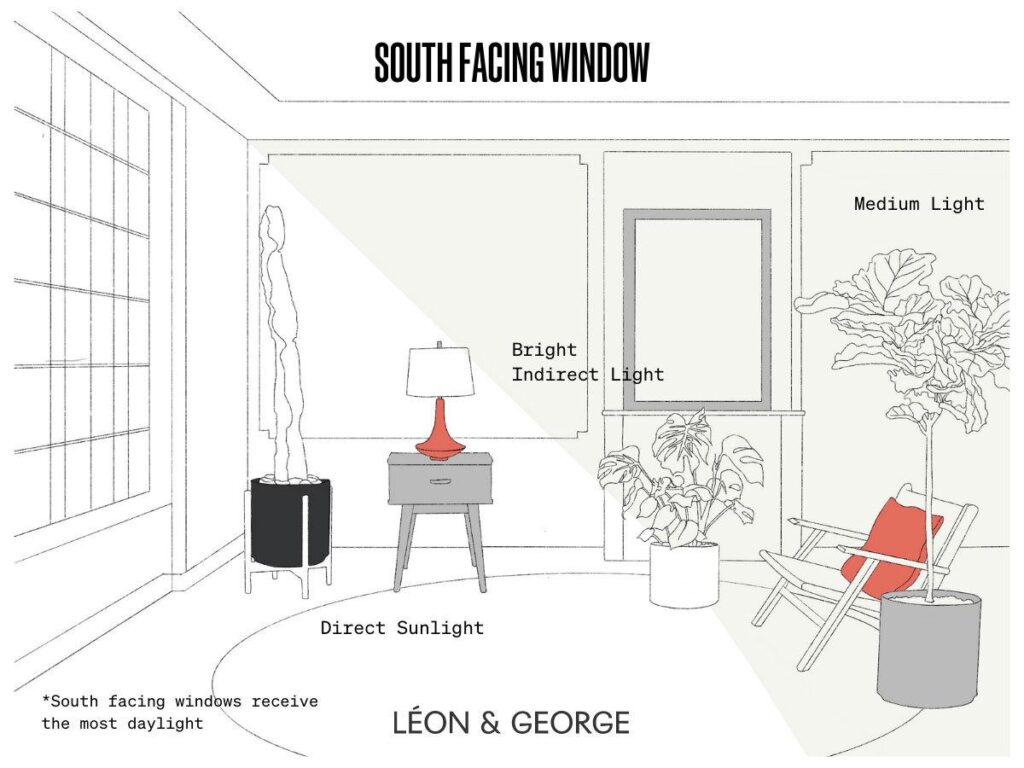 indirect sunlight meaning key examples explained