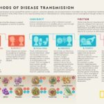 Indirect Transmission Examples You Should Know indirect transmission examples you should know