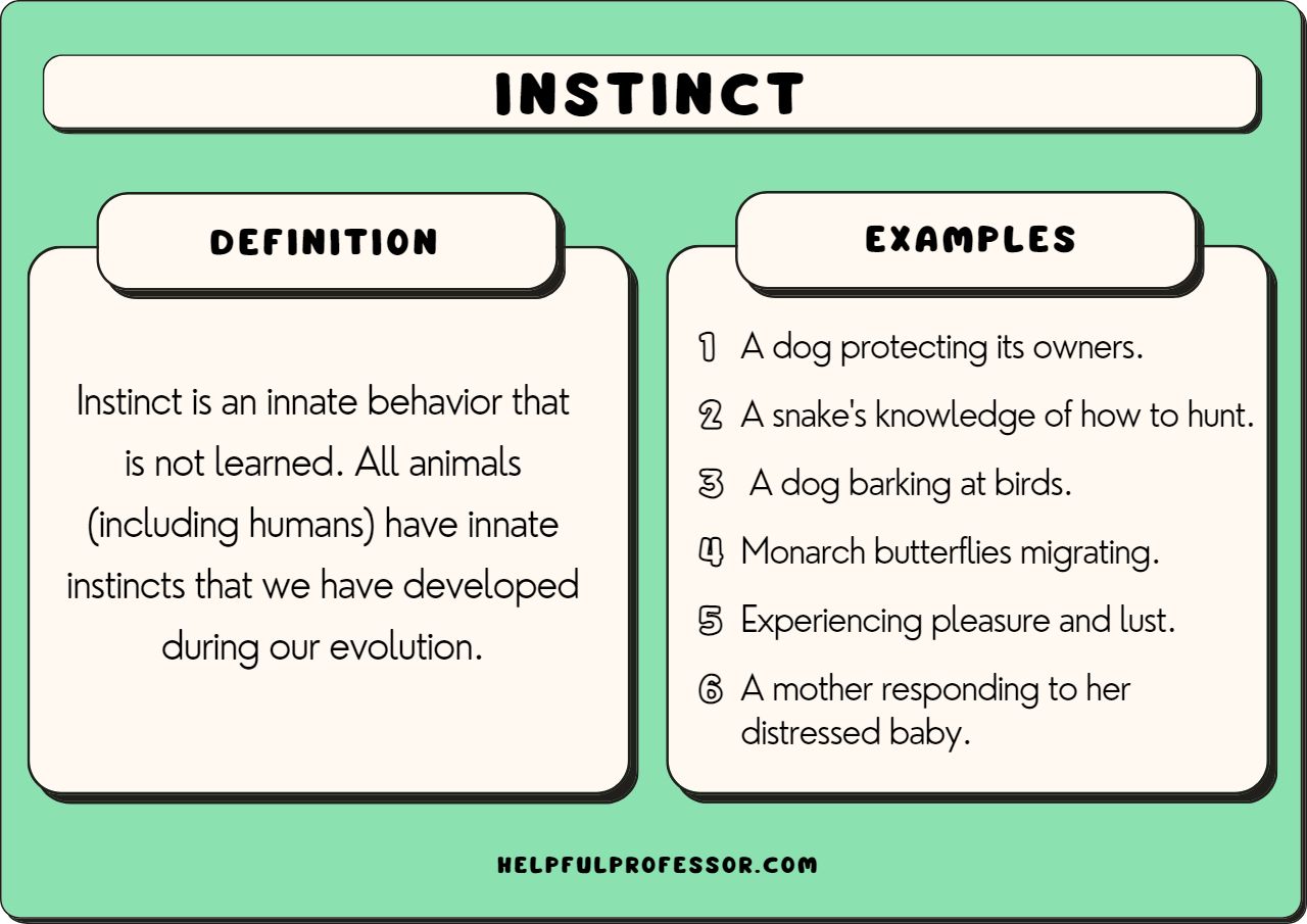 instinct examples how animals and humans respond