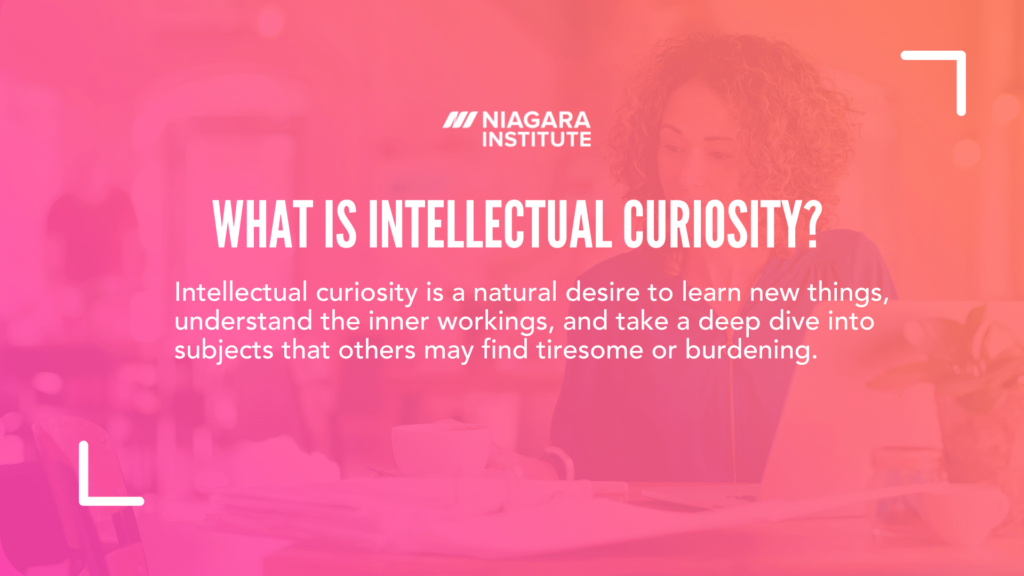 intellectual curiosity meaning key examples