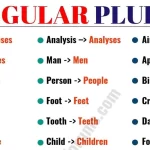 irregular plural nouns key examples to know