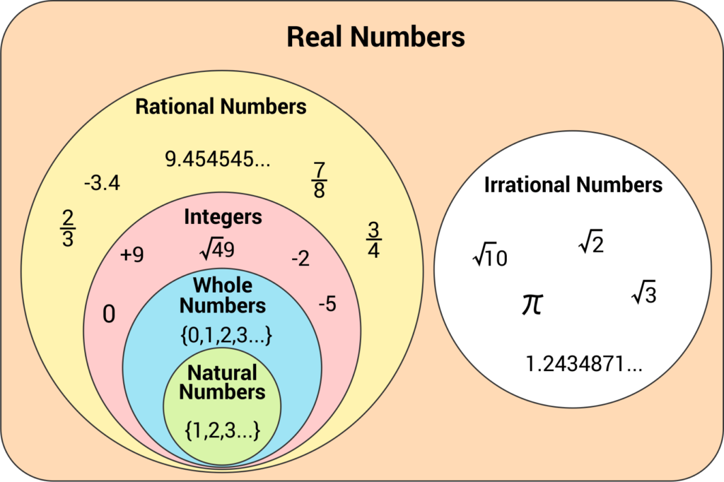 is 14 a whole number understanding negative vs whole numbers