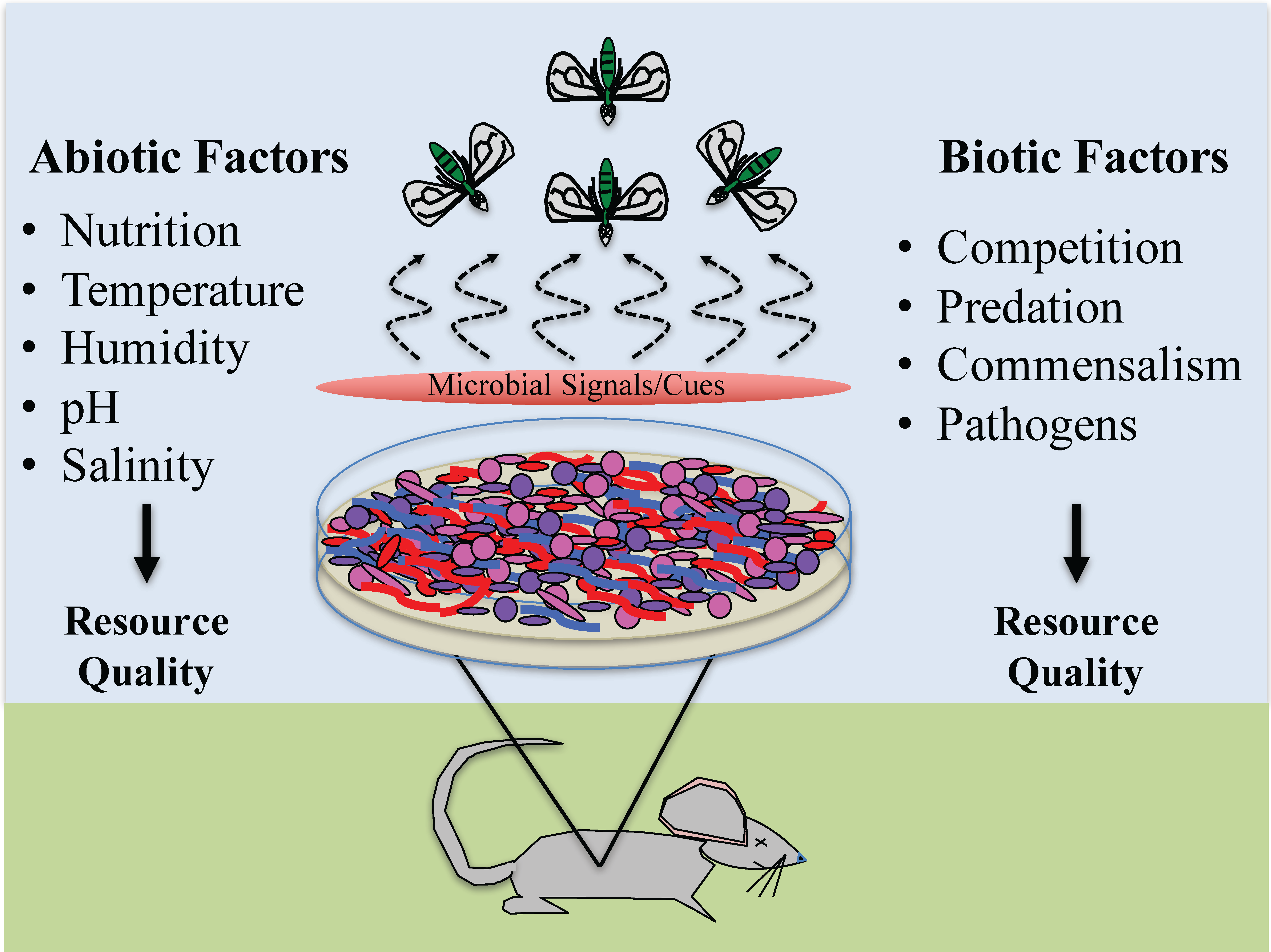 is disease abiotic or biotic key examples explained 1