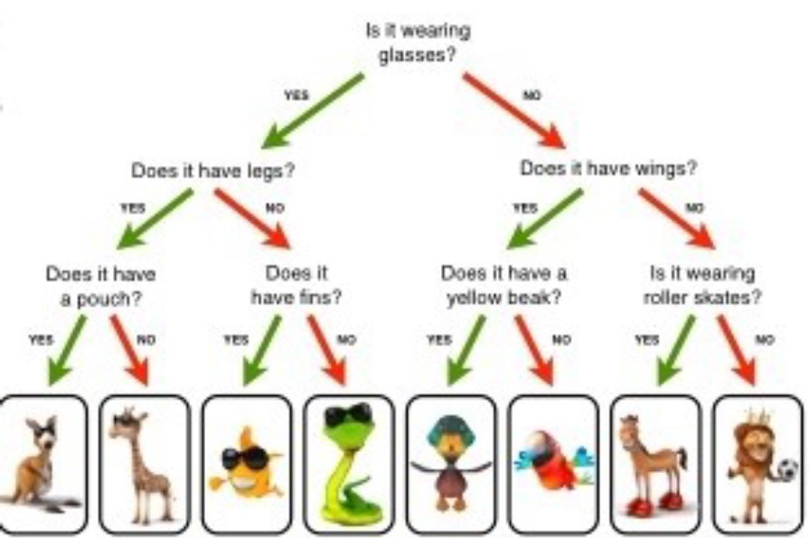 is grass a living thing key examples explained