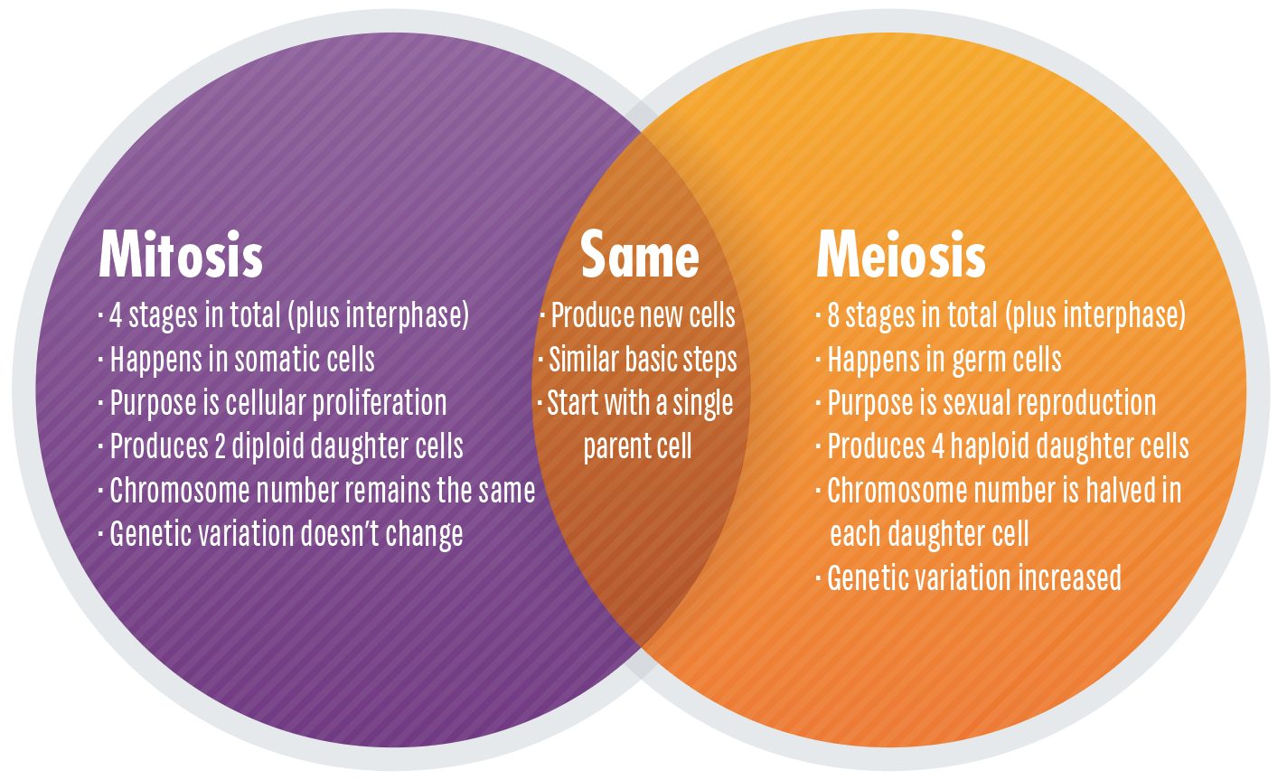 is haploid mitosis or meiosis key differences explained