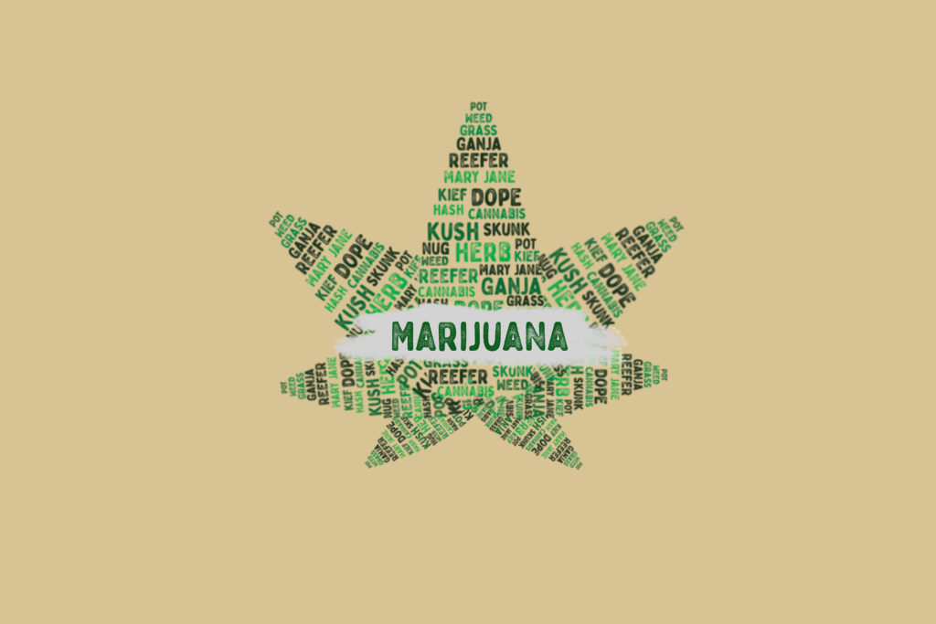 is marijuana a narcotic understanding the controversy