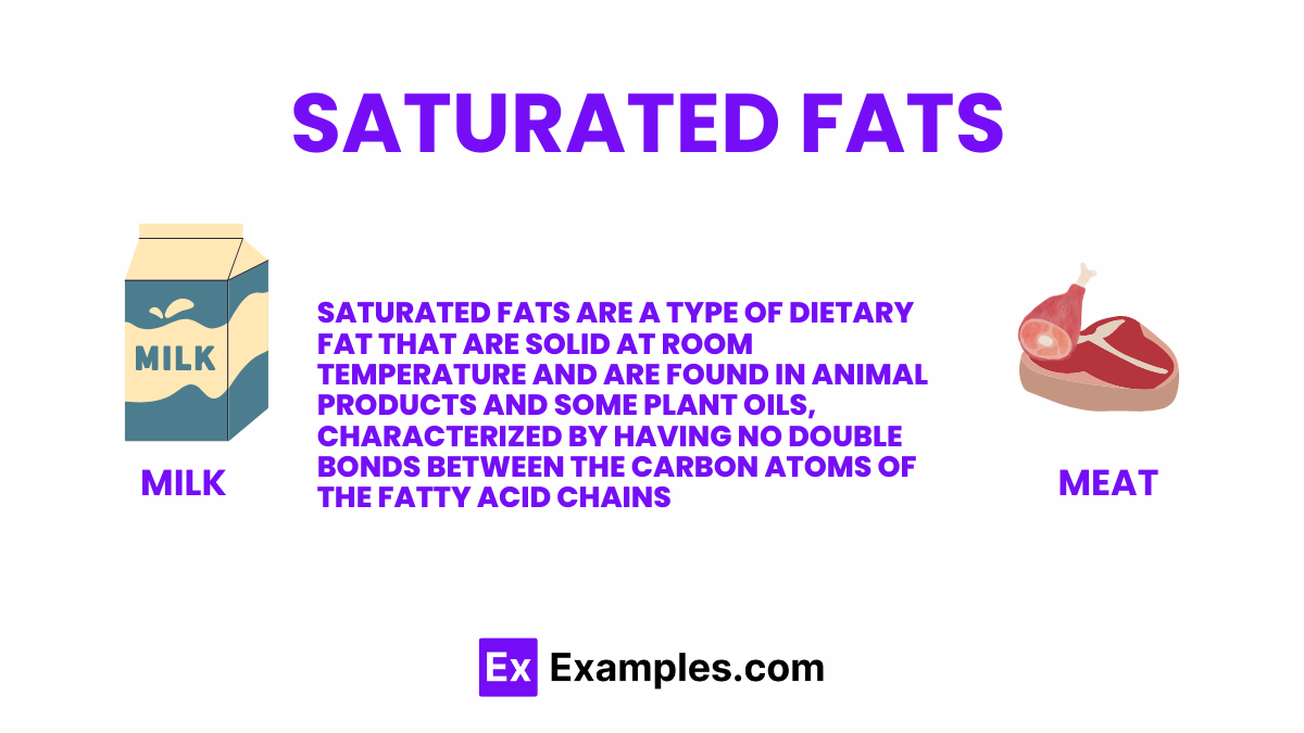 is saturated fat bad exploring key facts and examples