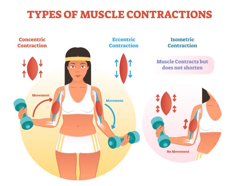 isokinetic exercise examples for strength and rehab