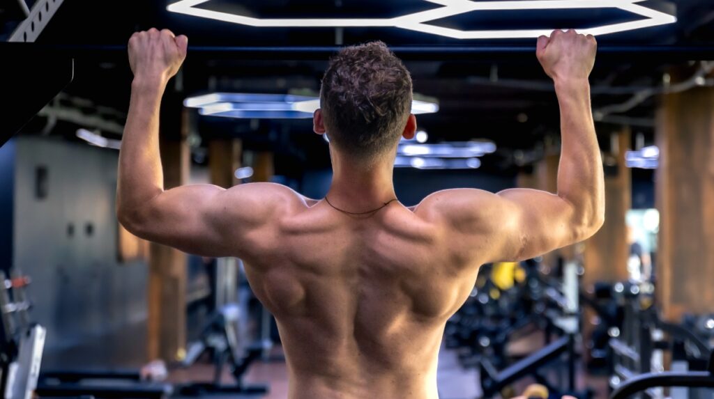 isolation exercises for targeted muscle gains