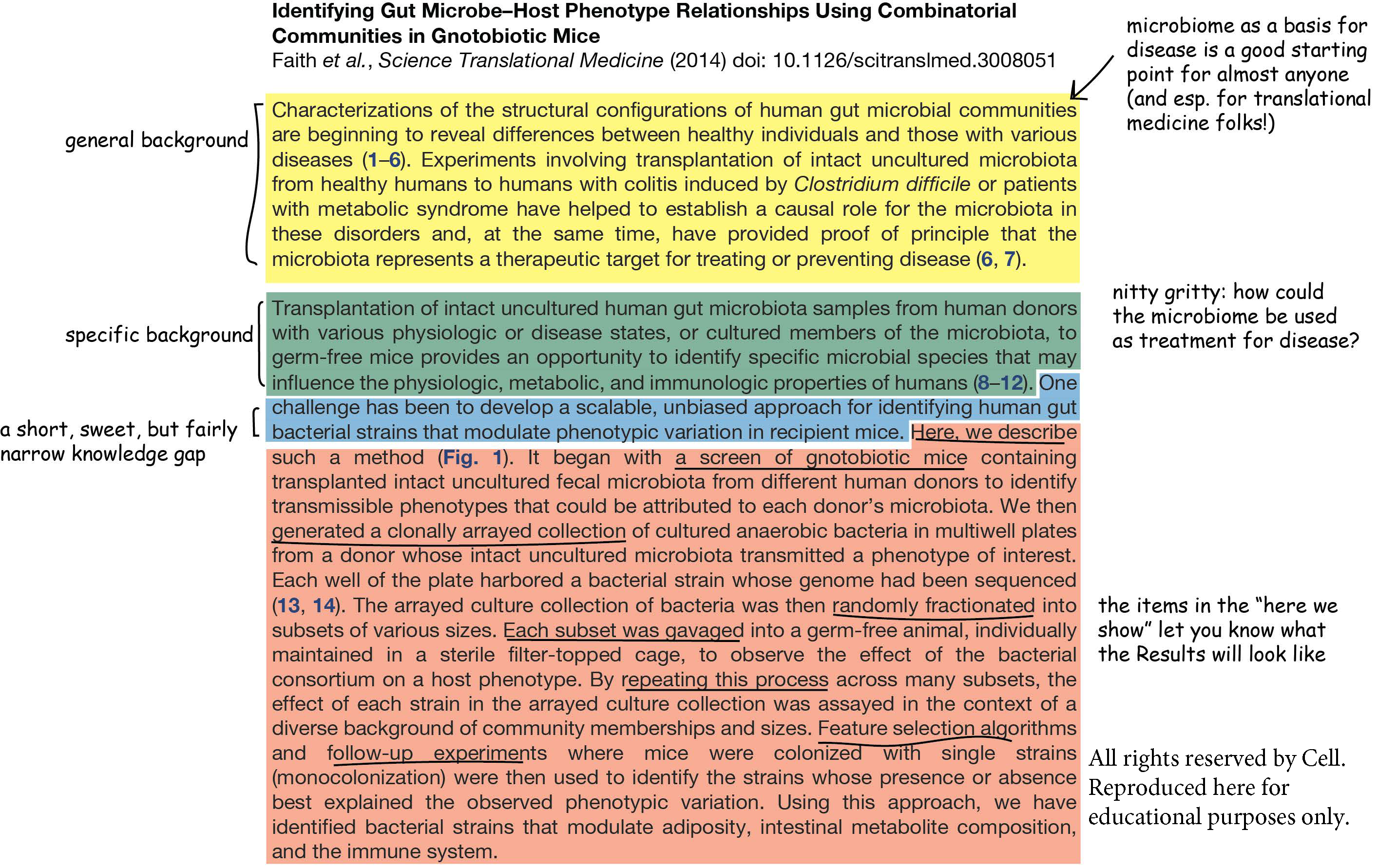 journal article examples for academic writing success
