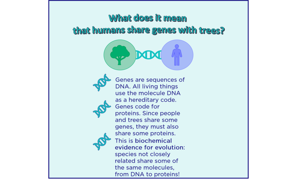 life examples of biochemistry you didnt know about