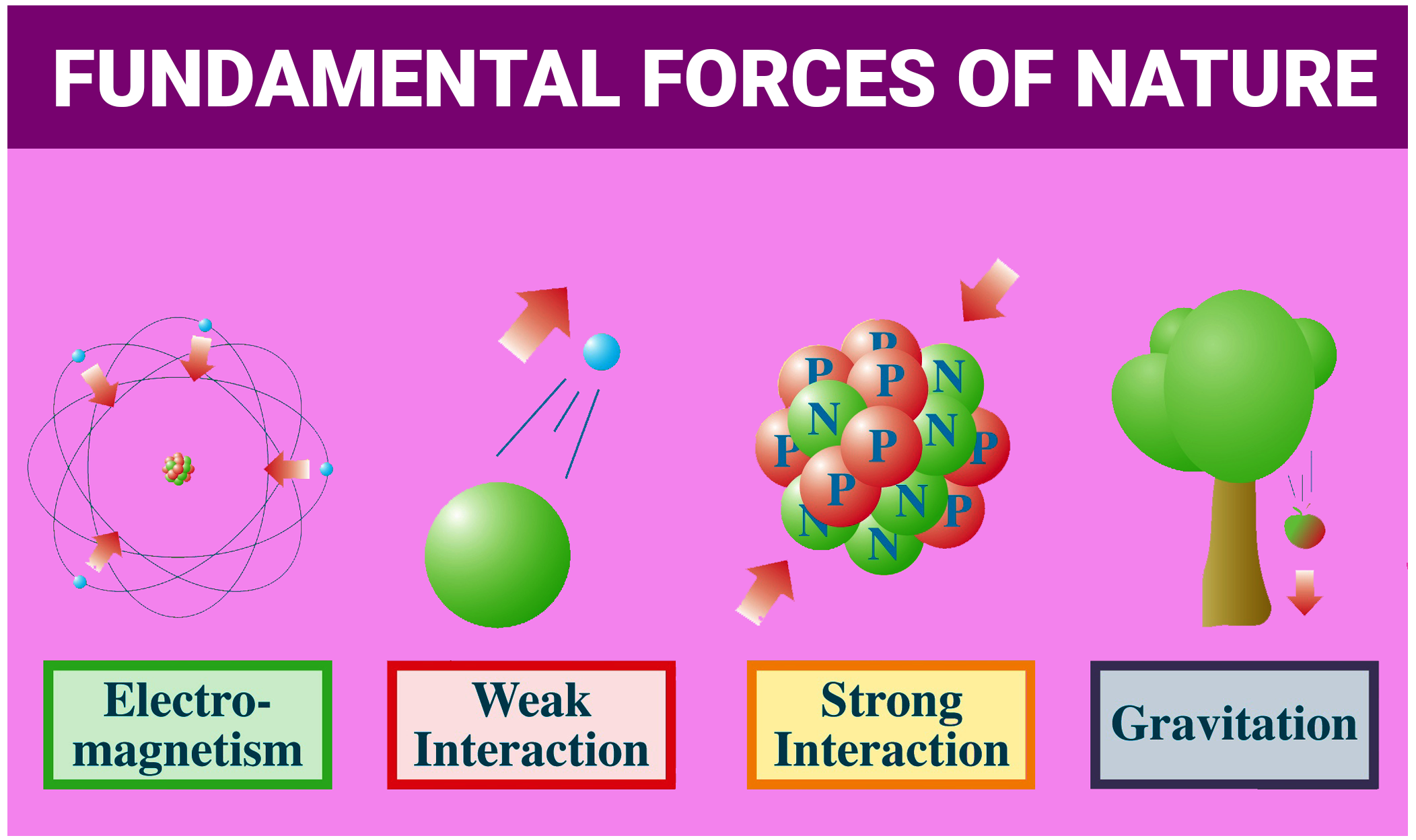 ranking the four fundamental forces from strongest to weakest