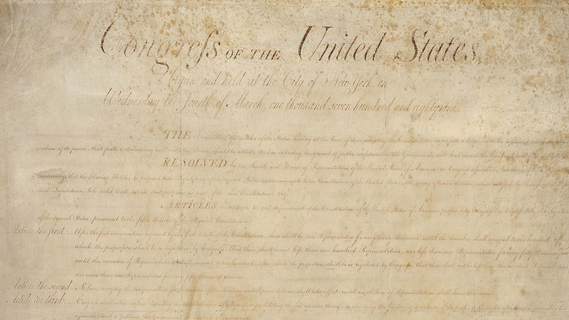 summarizing the bill of rights in a sentence key examples