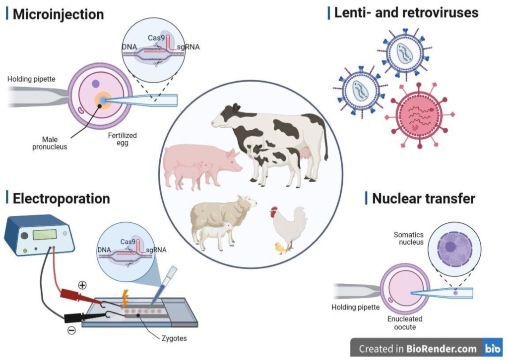 transformative examples of gene editing in medicine and agriculture