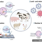 transformative examples of gene editing in medicine and agriculture