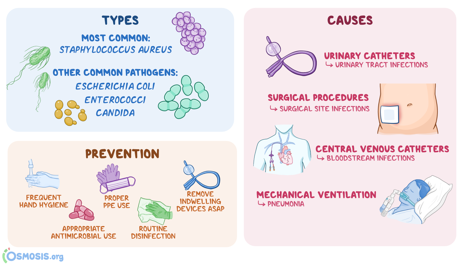 what hospital acquired infections are called